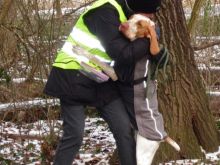 training personensuchhund 11