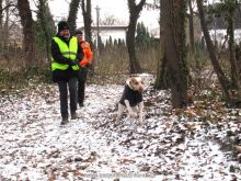 training personensuchhund 13