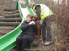 training personensuchhund 15