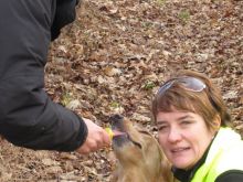 training personensuchhund 18