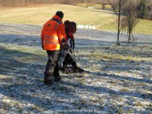 training personensuchhund 23