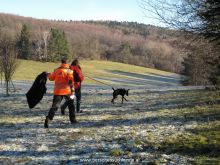 training personensuchhund 24