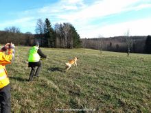 training personensuchhund 26