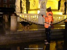 training personensuchhund 28