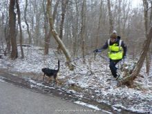training personensuchhund 37