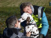 training personensuchhund 40