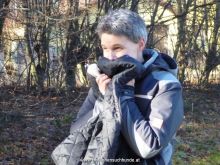 training personensuchhund 41