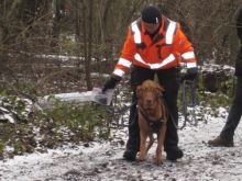 ulli kellner mantrailing 02