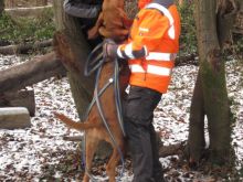 ulli kellner mantrailing 05