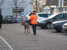 ulli kellner mantrailing 13