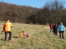 ulli kellner mantrailing 18