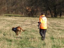 ulli kellner mantrailing 21