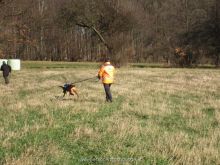 ulli kellner mantrailing 22