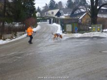 ulli kellner mantrailing 24