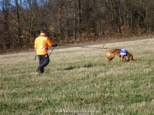 ulli kellner mantrailing 25