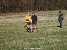 ulli kellner mantrailing 26